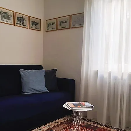 Nadia, Bilocale Nel A 5 Minuti Dal Centro 梅拉诺